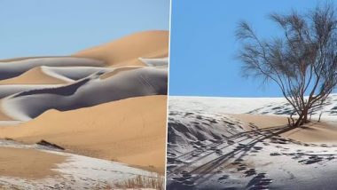Snowfall in Sahara Desert: दुनिया का सबसे गर्म रेगिस्तान सहारा बर्फ से ढका, तापमान -2 डिग्री तक गिरा, देखें खूबसूरत वीडियो