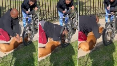 Viral Video: कैलिफ़ोर्निया में पार्क के पास बेहोश कुत्ते को शख्स ने दिया सीपीआर, उसके बाद जो हुआ...देखें वीडियो