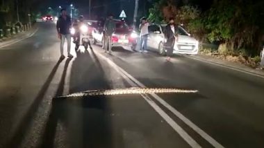 Huge Python Stops Traffic: विशाल अजगर ने कोच्चि के सीपोर्ट-एयरपोर्ट रोड पर रोका ट्रैफिक, वीडियो वायरल