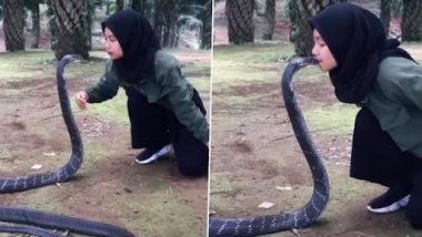 Girl Kissing King Cobra: जानलेवा किंग कोबरा को किस करती महिला का क्लिप वायरल, भयावह वीडियो देख कांप जाएगी रूह