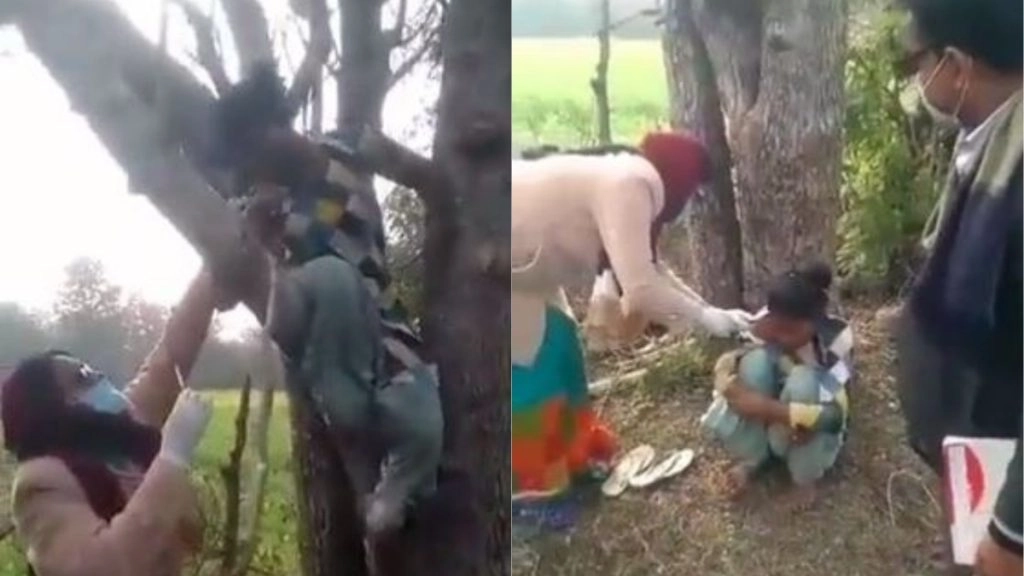 वैक्सीन का खौफ! पेड़ पर चढ़कर बोली लड़की- नहीं लगवाएंगे टीका, फिर जो हुआ... देखें Viral Video