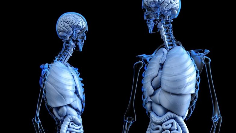 Health Tips: हड्डियों को स्वस्थ रखने और हड्डी रोग से बचने के लिये जरूर रखें इन बातों का ध्यान