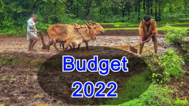 Budget 2022: किसानों को बजट में क्या मिला? जानिए MSP सहित 10 जरुरी बातें