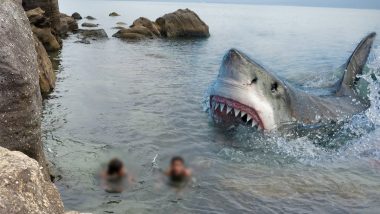 HORROR: समुद्र में शख्स के 2 टुकड़े कर निगल गई शार्क, कांप उठे घटना को देखने वाले लोग