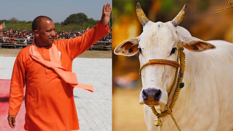 UP: अमेठी में गरजे CM योगी, कहा- हम गोमाता को कटने नहीं देंगे, गाय पालने वाले को हर महीने 1 हजार रुपये देंगे