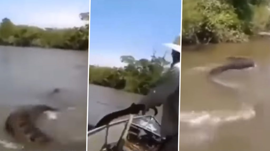 शख्स ने अपने हाथ से पकड़ लिया एनाकोंडा, इस हैरतअंगेज कारनामे के Viral Video को देख उड़े लोगों के होश