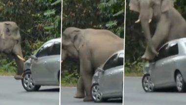 सड़क पर खड़ी थी कार, अचानक वहां पहुंचा विशालकाय हाथी और फिर जो हुआ... Viral Video देख दंग रह जाएंगे आप