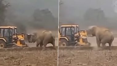 जब क्रेन के सामने अचानक आ गया विशालकाय हाथी, ऐसे गजराज ने किया अपनी ताकत का प्रदर्शन (Watch Viral Video)