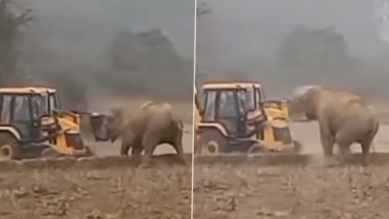 जब क्रेन के सामने अचानक आ गया विशालकाय हाथी, ऐसे गजराज ने किया अपनी ताकत का प्रदर्शन (Watch Viral Video)