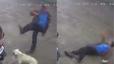 Viral Video: कुत्ते को परेशान करना शख्स को पड़ा भारी, लात मारने की कोशिश करते समय खुद ही जमीन पर गिरा धड़ाम