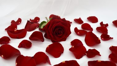 Remedies of Rose Petals 2022: सेहत के साथ-साथ सौंदर्य के लिए भी लाभकारी हैं गुलाब की ताजी पंखुड़ियां!