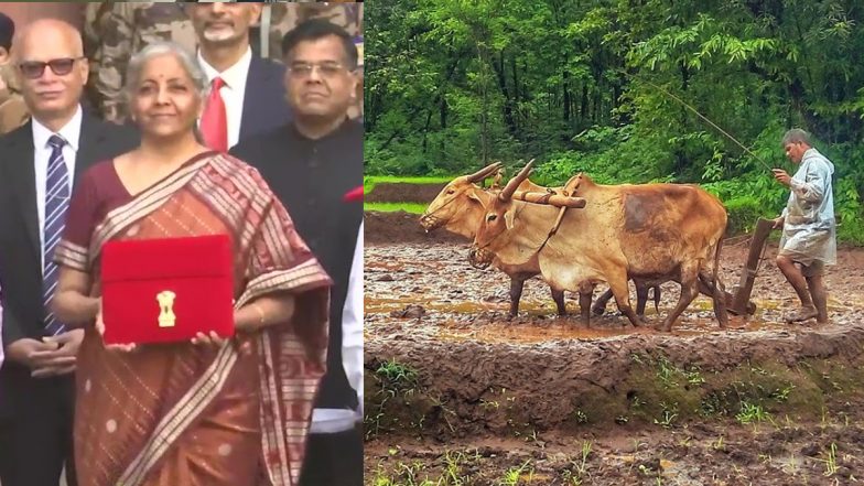 Budget 2022: बजट से नाखुश किसान सगठनों ने किसानों को बड़े संघर्ष के लिए तैयार रहने की अपील की