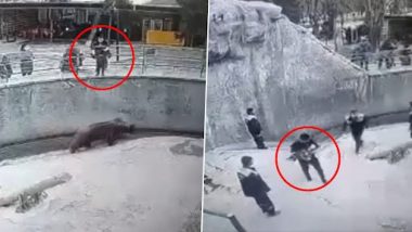 Woman Throws Her Daughter Into Zoo: महिला ने अपनी 3 साल की बेटी को भालू के गड्ढे में फेंका, भयानक वीडियो हुआ वायरल