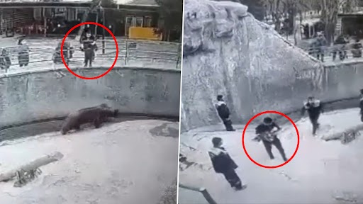 महिला ने अपनी 3 साल की बेटी को भालू के गड्ढे में फेंका, भयानक वीडियो हुआ वायरल