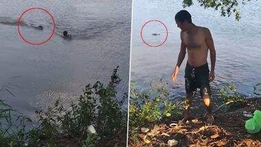 Viral Video: तालाब में नहा रहे शख्स को मगरमच्छ ने पीछे से धर दबोचा, उसके बाद जो हुआ...देखें वीडियो