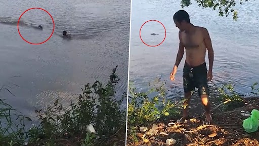 Viral Video: तालाब में नहा रहे शख्स को मगरमच्छ ने पीछे से धर दबोचा, उसके बाद जो हुआ...देखें वीडियो