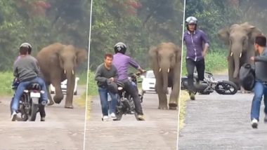 Viral Video: दो बाइक सवार को हाथी ने दौड़ाया, उसके बाद जो हुआ...देखें वीडियो