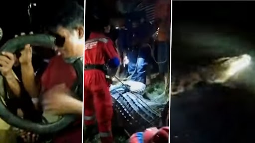6 साल से मगरमच्छ के गर्दन में फंसा हुआ था टायर, ऐसे निकाला...