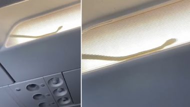 Snake on a Plane: पायलट ने हवाई जहाज के अंदर सांप का डरावना वीडियो शेयर किया, वीडियो हुआ वायरल