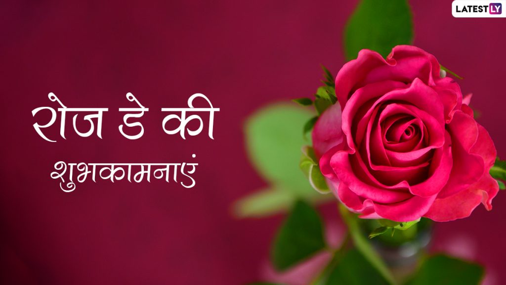 रोज डे पर ये हिंदी मैसेजेस WhatsApp Stickers, HD Images और GIF Greetings के जरिए भेजकर कहें अपने दिल की बात