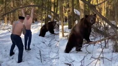 भालू के सामने जमकर कसरत कर रहे थे दो लोग, तभी जानवर को आया गुस्सा और उसने किया कुछ ऐसा (Watch Viral Video)