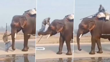 Viral Video: ये है असल जिंदगी का बाहुबली, फिल्मी अंदाज में हाथी पर बैठकर शख्स ने किया हर किसी को हैरान, देखें वीडियो