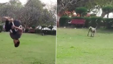 पार्क में लड़के को बैकफ्लिप मारते देख बंदर ने उतारी उसकी जबरदस्त नकल, मजेदार वीडियो देख हंस पड़ेंगे आप (Watch Viral Video)