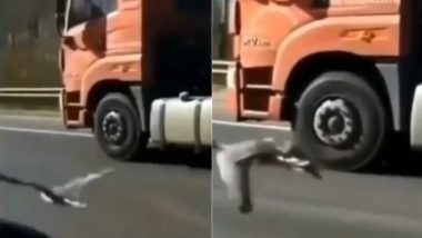 रेस लगाकर पक्षी ने तेज रफ्तार ट्रक को दी कड़ी टक्कर, सोशल मीडिया पर वायरल हुआ हैरान करने वाला वीडियो (Watch Viral Video)