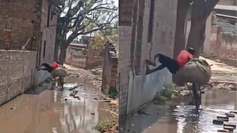 Desi Spiderman Viral Video: किसी स्पाइडर मैन से कम नहीं है यह लड़का, कीचड़ भरे रास्ते को पार करने का ऐसा जुगाड़ देख उड़ जाएंगे होश