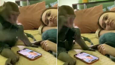 Viral Video: स्नैक्स खाते हुए बंदर मोबाइल देख रहा था बंदर, तभी किया कुछ ऐसा... नजारा देख हंस पड़ेंगे आप
