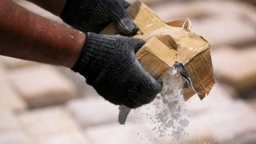 नोएडा में मादक पदार्थों की तस्करी के आरोप में 40 लोग गिरफ्तार