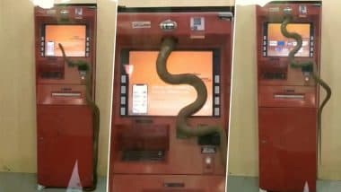 Viral Video: देखते ही देखते एटीएम मशीन में घुस गया विशालकाय सांप, वायरल वीडियो देख हैरान हो जाएंगे आप