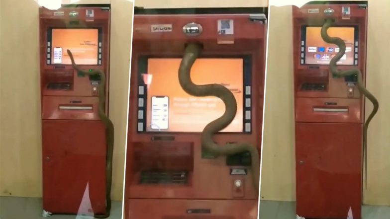 Viral Video: देखते ही देखते एटीएम मशीन में घुस गया विशालकाय सांप, वायरल वीडियो देख हैरान हो जाएंगे आप