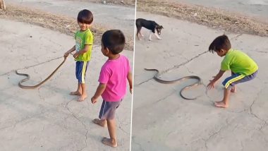 बच्चे ने पूंछ पकड़कर सांप को किया इतना परेशान कि जान बचाने के लिए भागने को मजबूर हुए नागराज (Watch Viral Video)