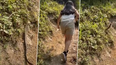 पहाड़ी पर चढ़ रहा था हाइकर्स का समूह, तभी झाड़ियों से निकल अचानक सांप ने किया उन पर अटैक (Watch Viral Video)