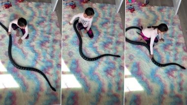 Little Girl Plays With Snake: विशाल सांप के साथ खेलती छोटी बच्ची का क्लिप वायरल, वीडियो देख नेटिज़न्स शॉक