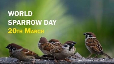 World Sparrow Day 2022: आज है विश्व गौरैया दिवस, इन पक्षियों की घटती जनसंख्या हुई चिंताजनक