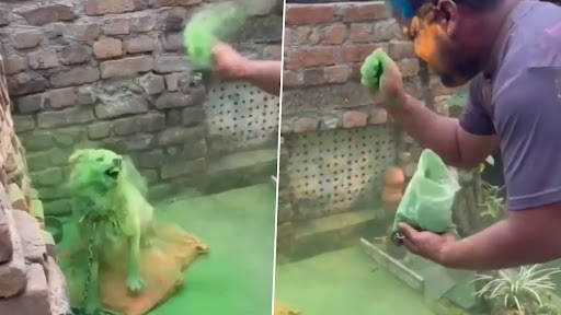 Disturbing Video: देहरादून में कुछ लोगों ने बंधे हुए कुत्ते पर फेंका ढेर सारा रंग, भयावह वीडियो देख भड़के नेटीजंस