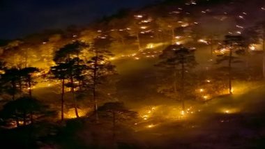 Uttarakhand Forest Fire: टिहरी गढ़वाल के जंगलों में लगी भीषण आग, वरुणावत पर्वत और देवघार रेंज में भी दिखा प्रकृति का प्रकोप