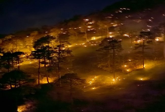 Uttarakhand Forest Fire: टिहरी गढ़वाल के जंगलों में लगी भीषण आग, वरुणावत पर्वत और देवघार रेंज में भी दिखा प्रकृति का प्रकोप