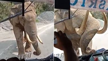 यात्रियों से भरी बस पर पड़ी हाथी की नजर, गजराज ने अटैक कर शीशे को तोड़ा और फिर... (Watch Viral Video)