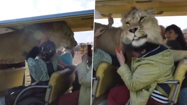 Viral Video: जंगल सफारी के दौरान अचानक टूरिस्ट वाहन में घुसा खूंखार शेर, इसके बाद जो हुआ... देखें वायरल वीडियो