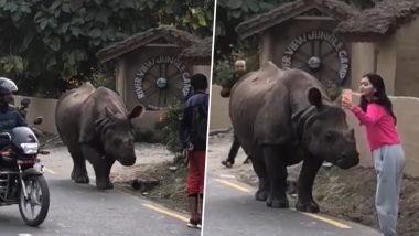 Rhino Viral Video: सड़क पर आराम से घूम रहा गैंडा बना आकर्षण का केंद्र, सेल्फी लेने के लिए उमड़ी भीड़