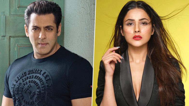 Salman Khan की फिल्म 'Kabhi Eid Kabhi Diwali' से बॉलीवुड डेब्यू करेंगी Shehnaaz Gill !