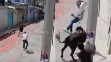 सड़क पर खड़े बैल को बेवजह छेड़ने लगा शख्स, गुस्साए जानवर ने पटक-पटक कर किया ऐसा हाल (Watch Viral Video)