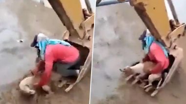 Viral Video: पानी के तेज बहाव में बह रहा था कुत्ता, जेसीबी मशीन की मदद से शख्स ने ऐसे बचाई बेजुबान की जान