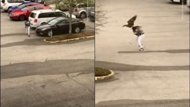 घोंसले के पास आते देख गुस्साए पक्षी ने महिला पर किया अटैक, बचने के लिए यहां-वहां भागती आई नजर (Watch Viral Video)