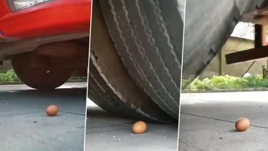 छोटे अंडे के ऊपर से गुजरा भारी-भरकम ट्रक, बावजूद इसके नहीं हुआ कोई नुकसान (Watch Viral Video)