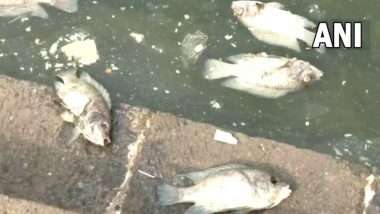 Mumbai: मालाबार हिल्स इलाके के बाणगंगा तालाब में मिली हजारों मृत मछलियां, ऑक्सीजन न मिलने के कारण हुई मौत