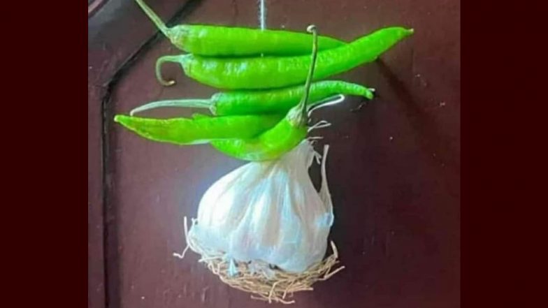 नींबू पर पड़ी महंगाई की मार का दिखा ऐसा असर, दरवाजे पर मिर्च के साथ लहसुन लटकाने लगे लोग (See Viral Pic)